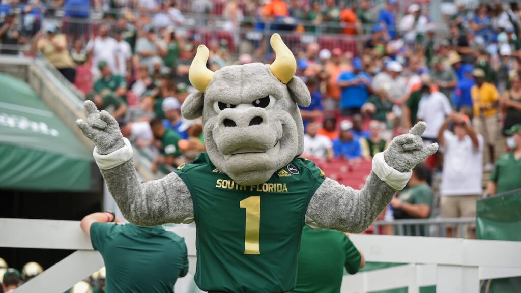 USF football adding Publix logo to Raymond James Stadium field