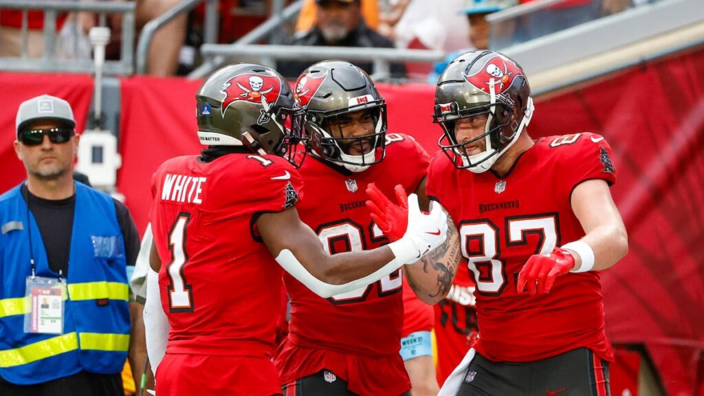 Payne Durham, Devin Culp prove Bucs have bright future at tight end