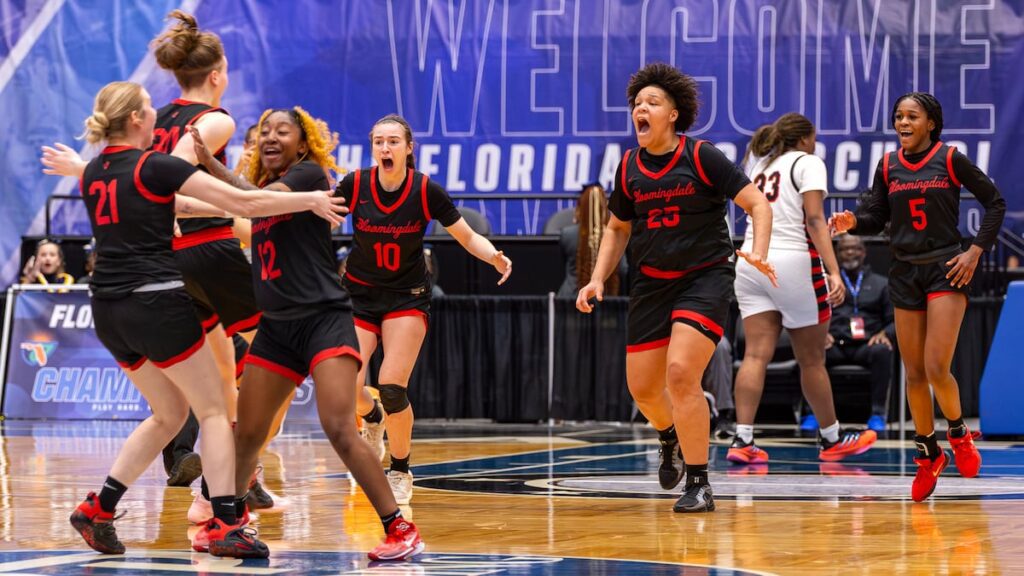 Battle-tested Bloomingdale captures 1st state title in girls basketball